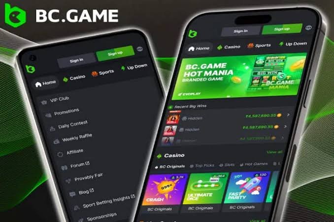 Exploring the Exciting World of BC.Game Hash Game