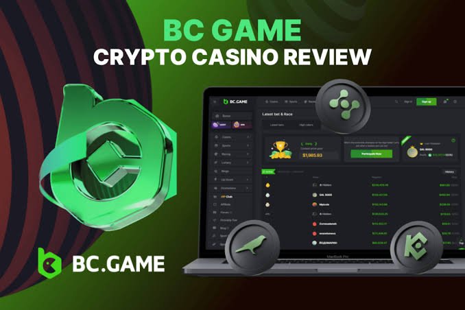 Understanding the BC.Game Login Process A Comprehensive Guide -392752057 Understanding the BC.Game Login Process A Comprehensive Guide -392752057